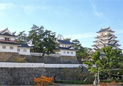 沿革イメージ